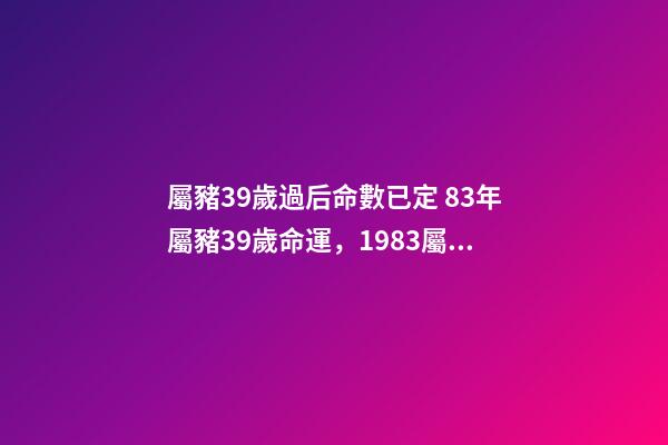 屬豬39歲過后命數已定 83年屬豬39歲命運，1983屬豬人的命運-第1張-觀點-玄機派